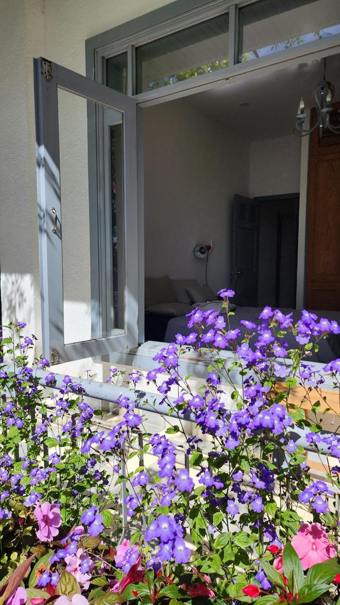 Tia Du Villa Homestay ダラット エクステリア 写真