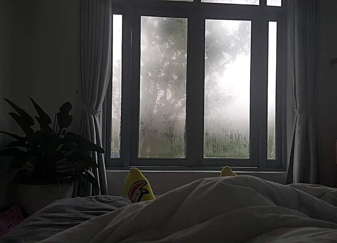 Tia Du Villa Homestay ダラット エクステリア 写真