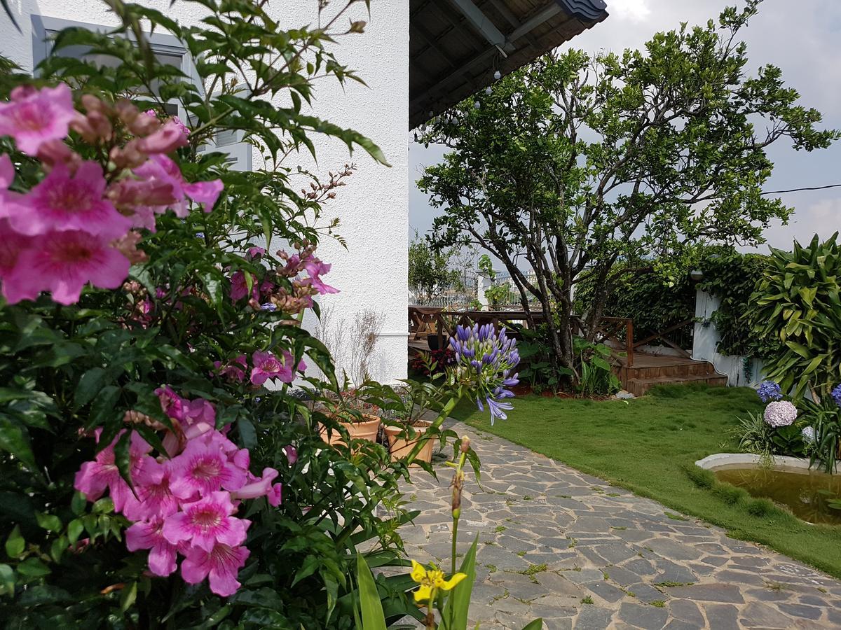 Tia Du Villa Homestay ダラット エクステリア 写真